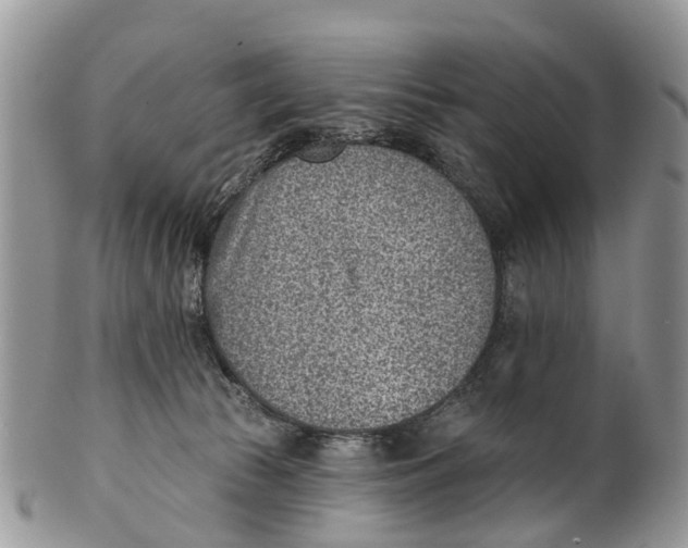 X0000099970177200806131540