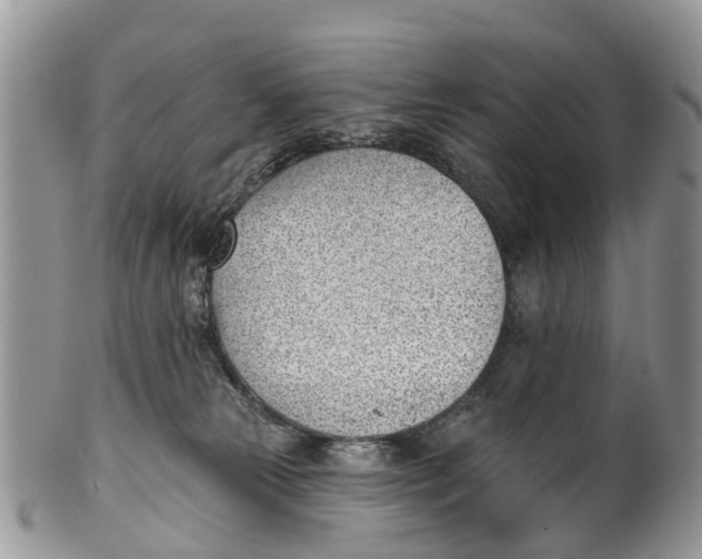 X0000099970181200806131540