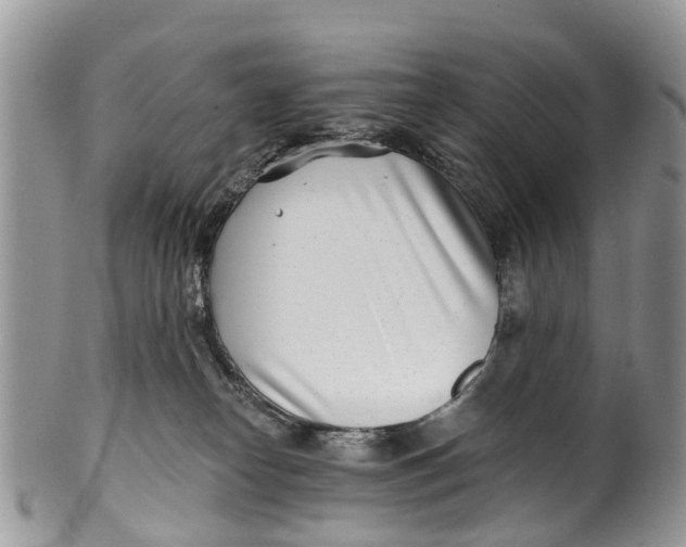 X0000099970182200806131540