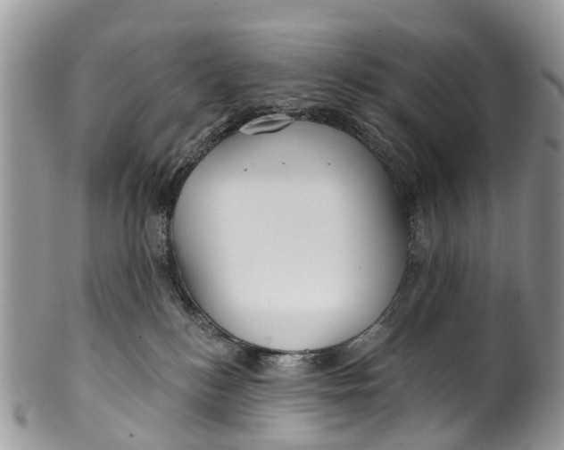 X0000099970184200806131540