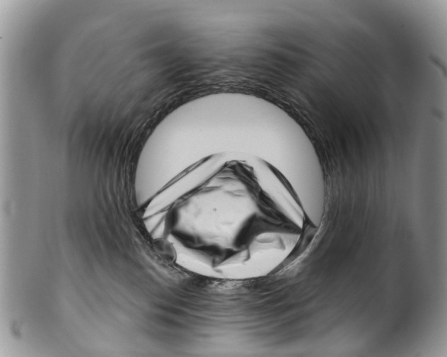 X0000099970186200806131540