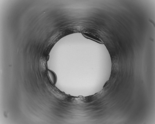 X0000099970188200806131540