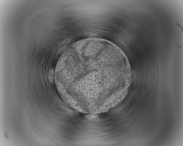 X0000099970189200806131540