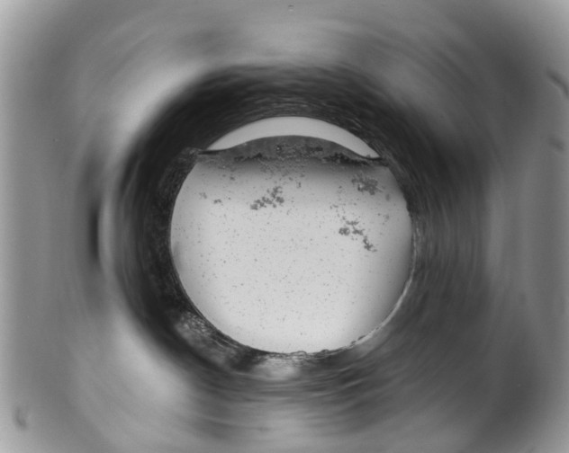 X0000099970190200806131540