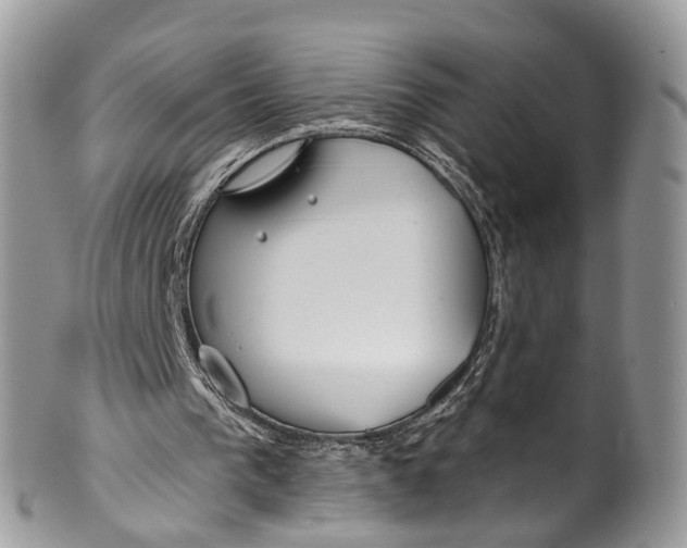 X0000099970193200806131539