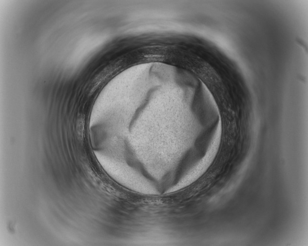 X0000099970194200806131539