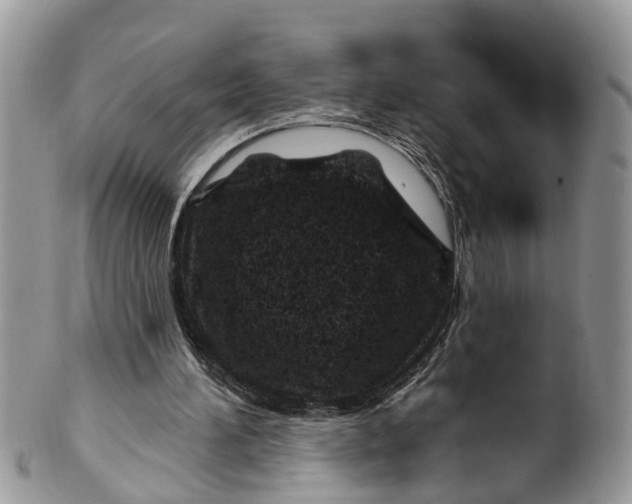 X0000099970196200806131539