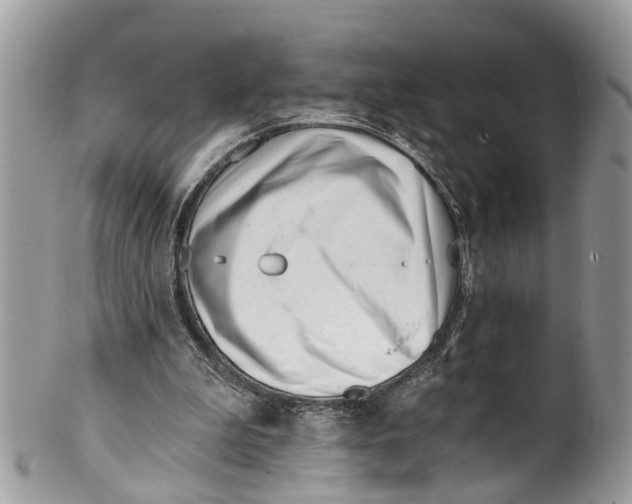 X0000099970199200806131539