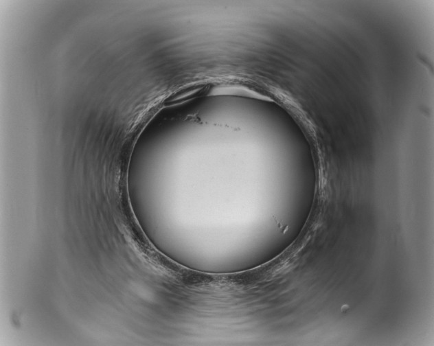 X0000099970201200806131539