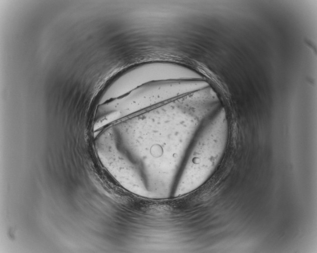 X0000099970203200806131539