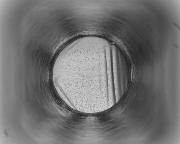 X0000099970204200806131539