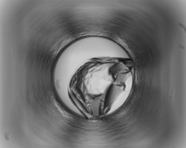 X0000099970205200806131539