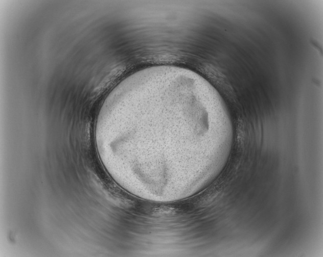 X0000099970206200806131539