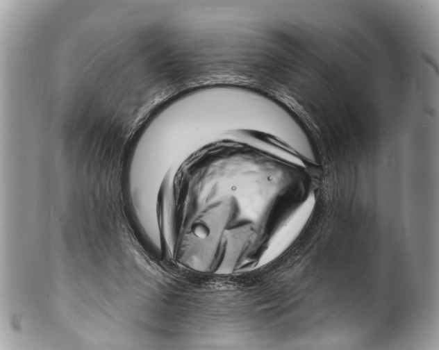 X0000099970207200806131539