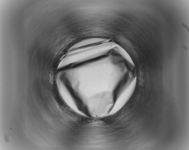 X0000099970210200806131539