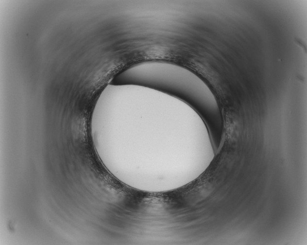 X0000099970211200806131539