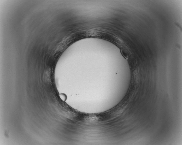 X0000099970217200806131539