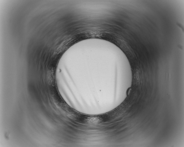 X0000099970218200806131539