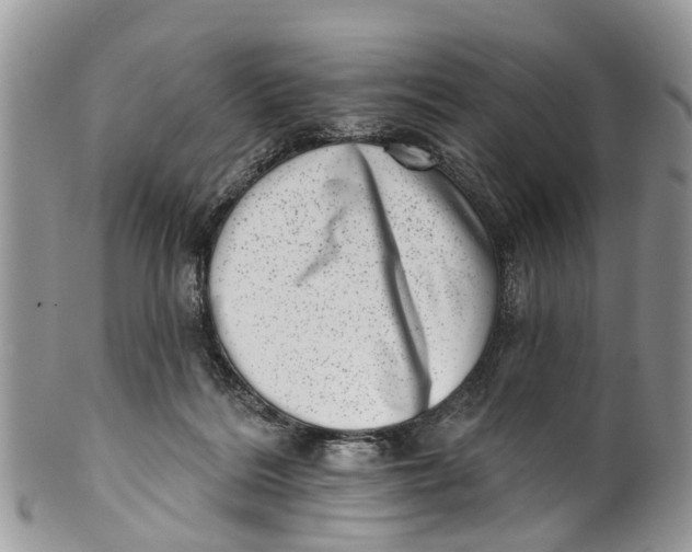 X0000099970220200806131539