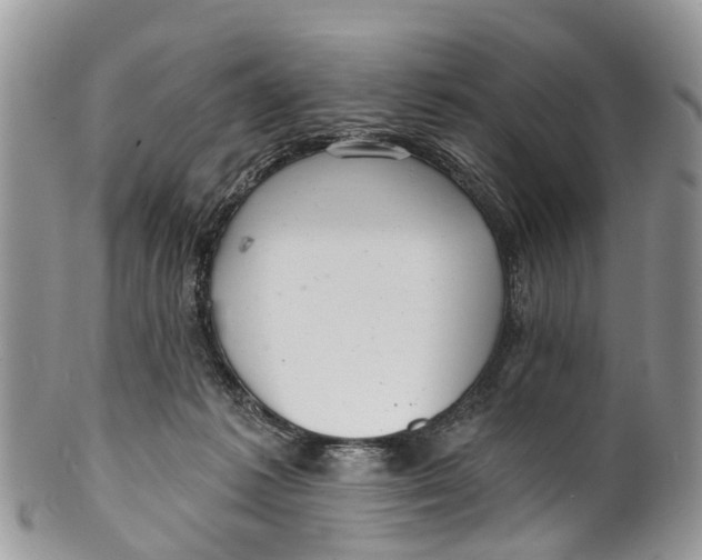 X0000099970221200806131539