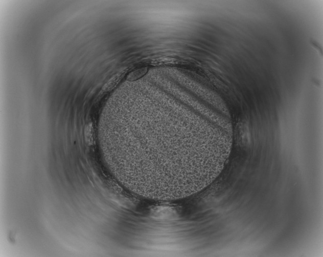 X0000099970224200806131539