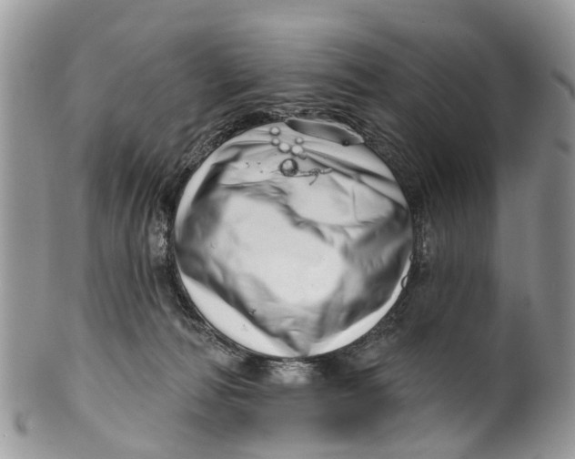 X0000099970226200806131539