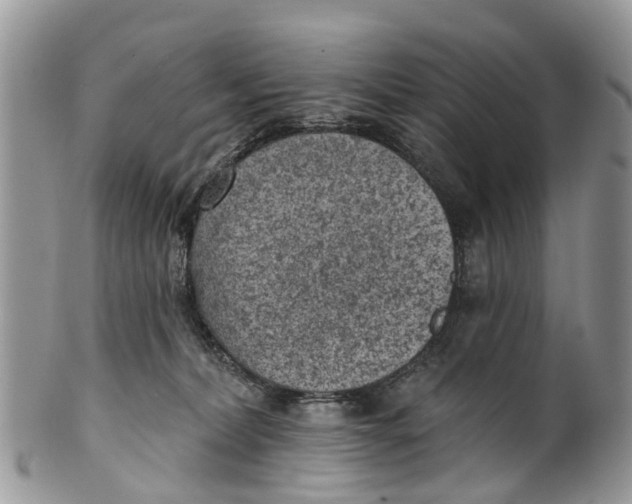 X0000099970228200806131539