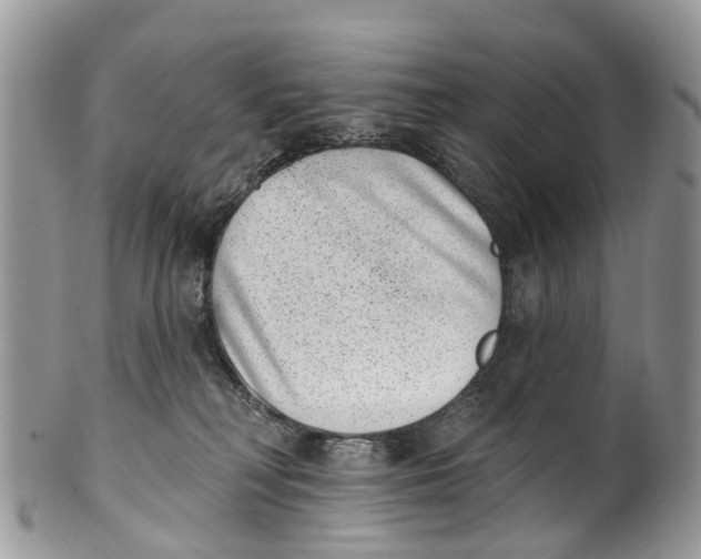 X0000099970230200806131539