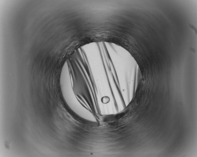 X0000099970231200806131539