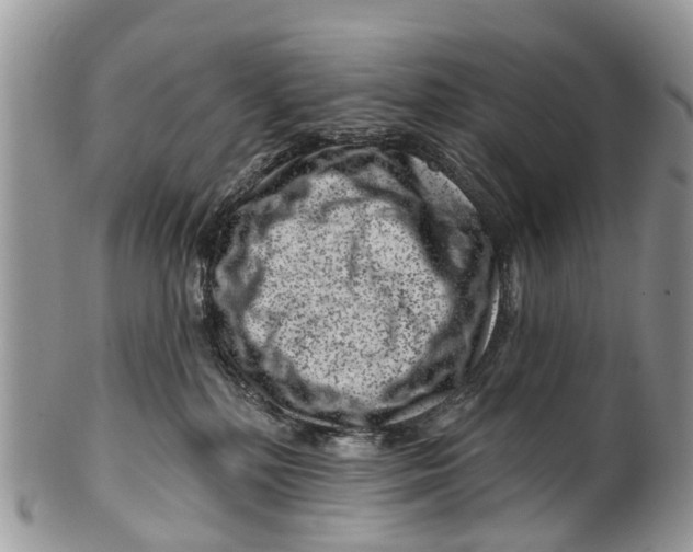 X0000099970232200806131539