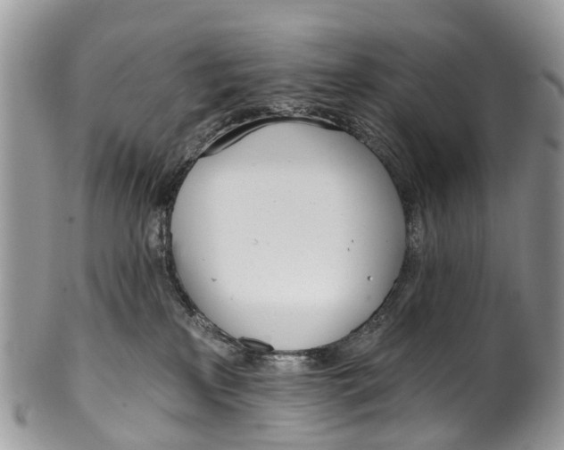 X0000099970233200806131539