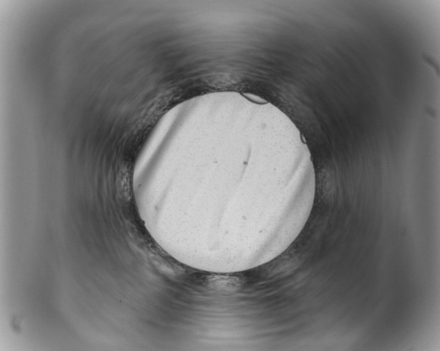 X0000099970234200806131539