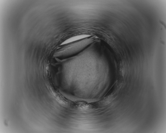 X0000099970235200806131539