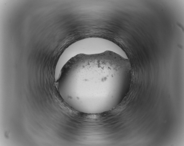 X0000099970237200806131539