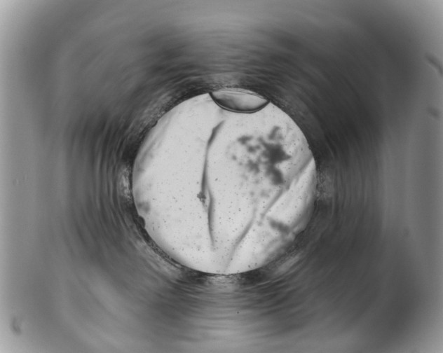 X0000099970238200806131539