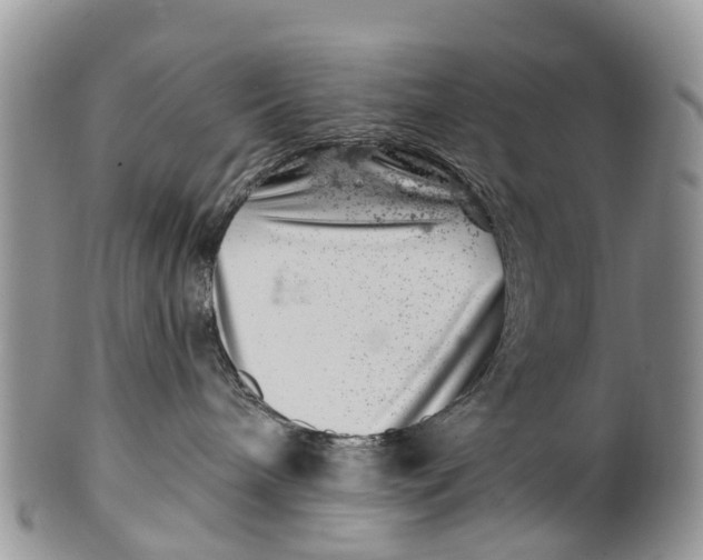 X0000099970240200806131539