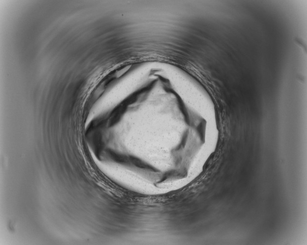 X0000099970241200806131538