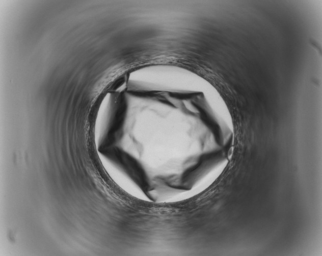 X0000099970242200806131538