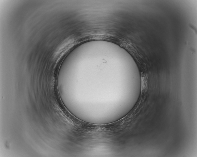 X0000099970243200806131538