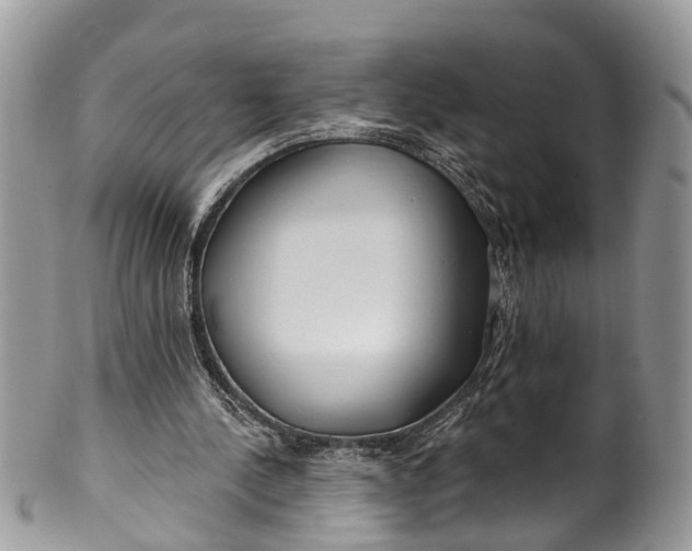 X0000099970244200806131538