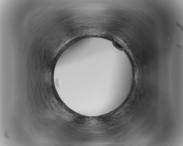 X0000099970249200806131538