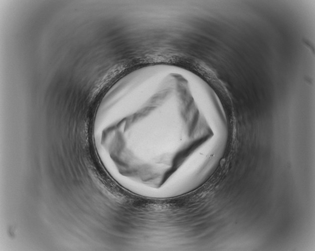 X0000099970250200806131538