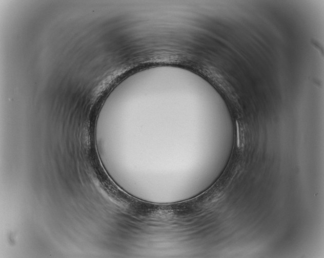 X0000099970252200806131538