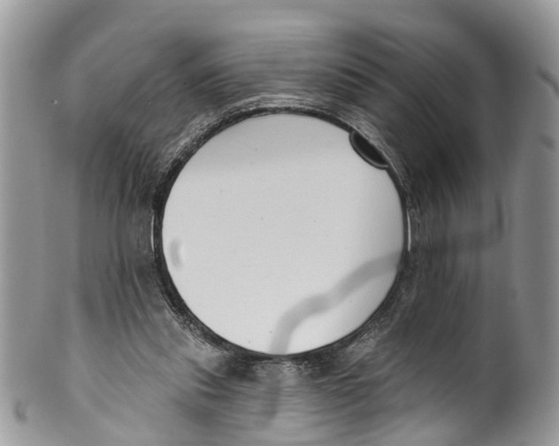 X0000099970253200806131538