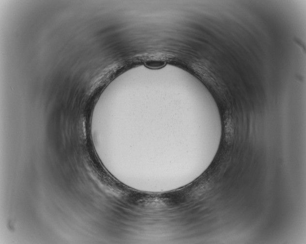 X0000099970254200806131538