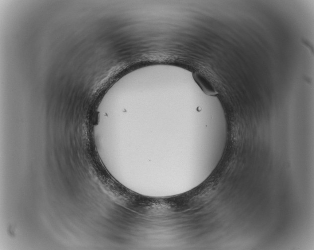 X0000099970256200806131538