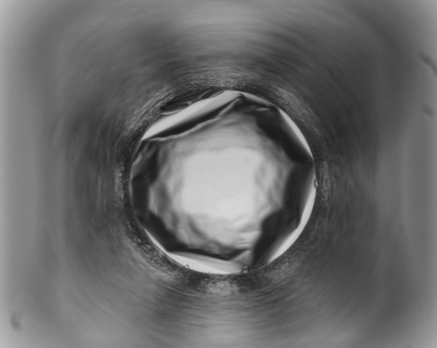 X0000099970258200806131538