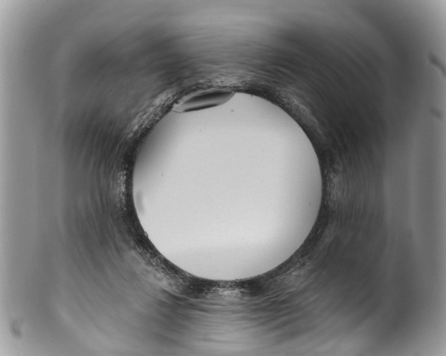 X0000099970260200806131538