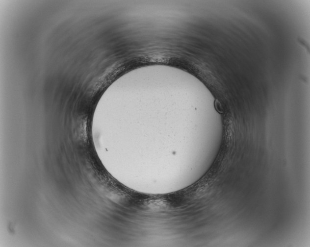 X0000099970262200806131538