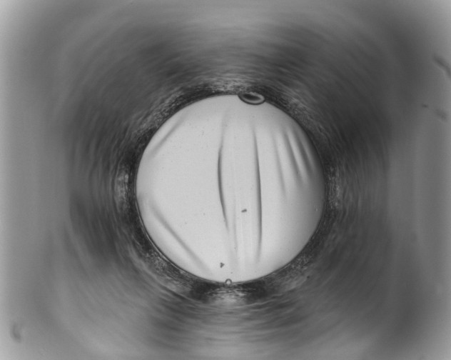 X0000099970263200806131538